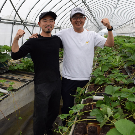 完熟いちご直売所　赤い幸せ