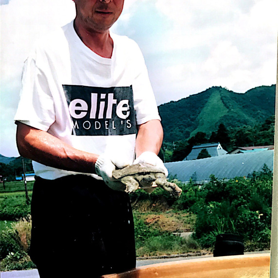 高原スッポン養殖場