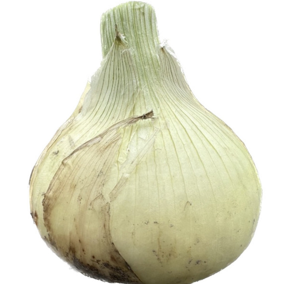 Veggie