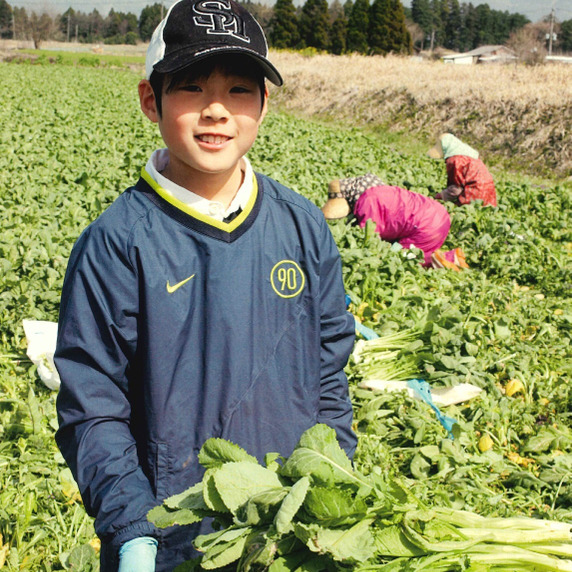 阿蘇たかな漬の菊池食品