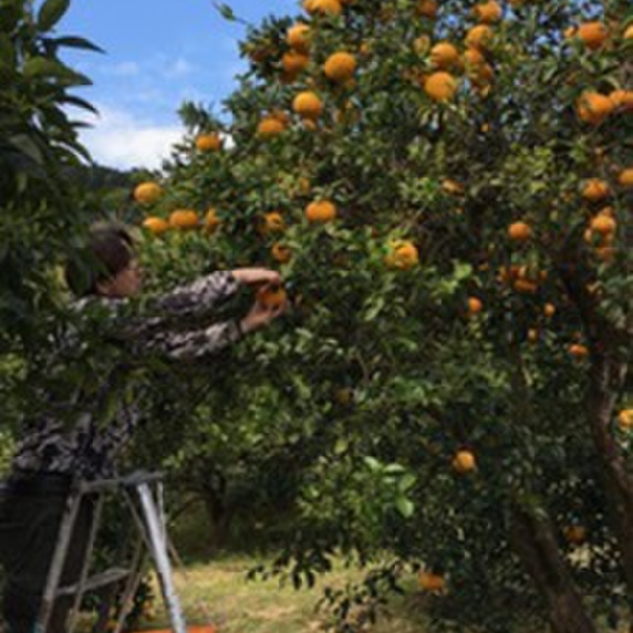 梅のお宿 温泉民宿　宮田荘