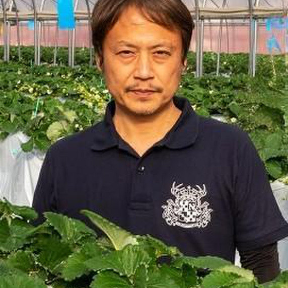 前田ストロベリー研究所