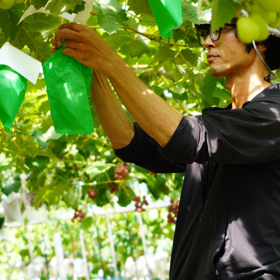 トゥルーバファーム青森