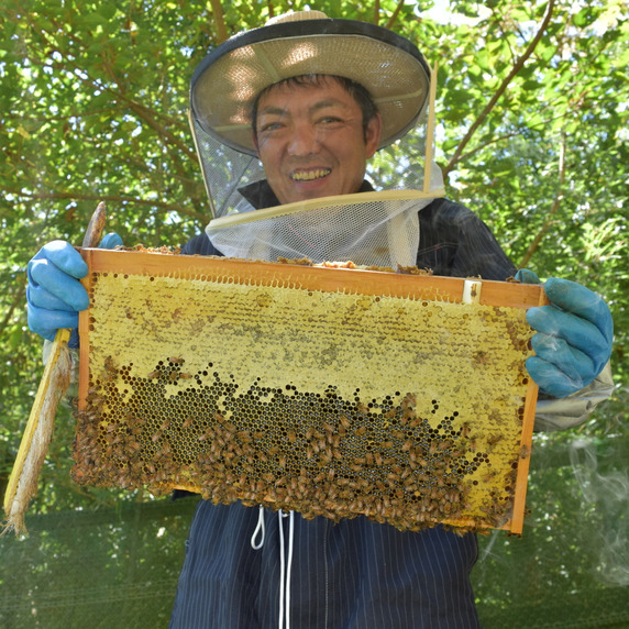 りせらや養蜂園