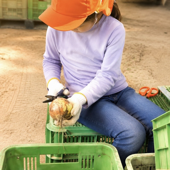 MIMI FARM AWAJI