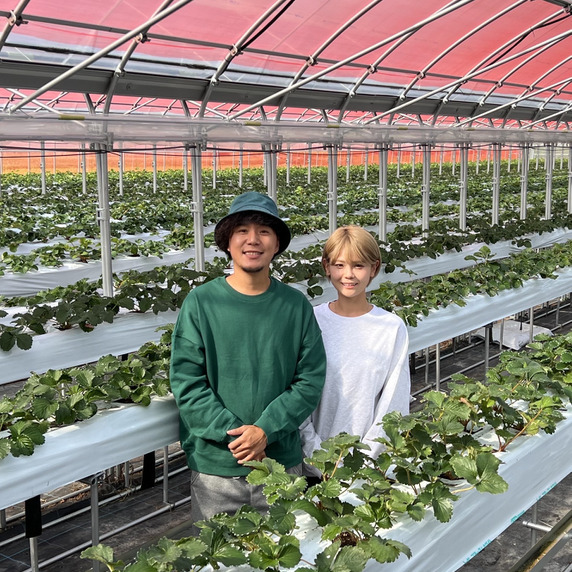 6farm