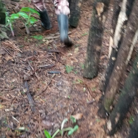 一二三