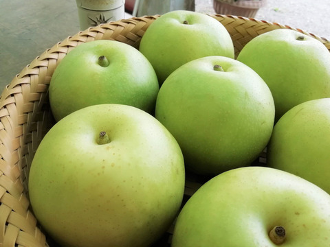 【特別栽培】⑪二十世紀梨2.5kg、旬のぶどう3種2kgのセット　ネオニコフリー