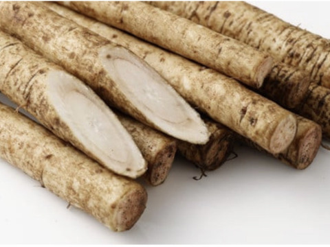 色白綺麗⭐︎香り絶品！2キロ　鹿児島県産　土付きごぼう