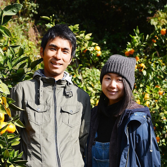 aotokuru from MIKAN farm in tokushima