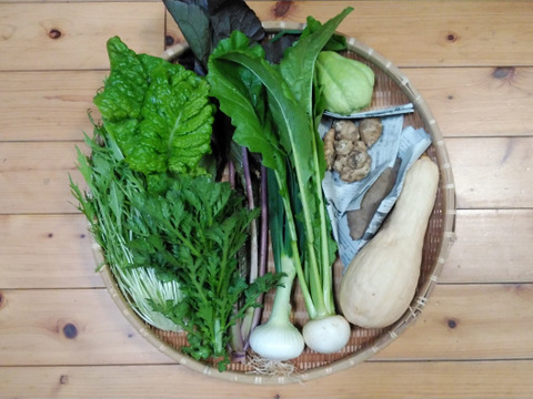 農薬 化学肥料不使用 野菜セット １０種類前後の野菜 キクイモたっぷり３００ｇ入り ８０サイズ箱 愛媛県産 食べチョク 農家 漁師の産直ネット通販 旬の食材を生産者直送