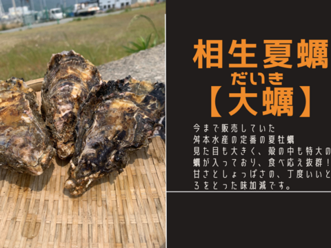 夏に食べる牡蠣！相生夏蠣【大蠣】15個セット【生食可能】