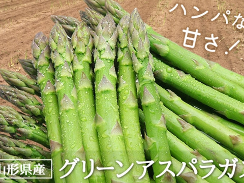 【🏆春一番🏆】常識を覆せ👑 
M〜L 2kg 数量限定100g増量中🎉 
感動のアスパラ