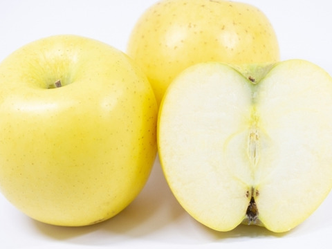 採れたて鮮度抜群【シナノゴールド】10㎏ 26～40玉　10月下旬頃収穫　青森りんご　農家直送