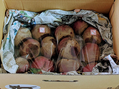 【自然栽培】驚きの甘さ、いもり屋のビーツ(4.5kg)