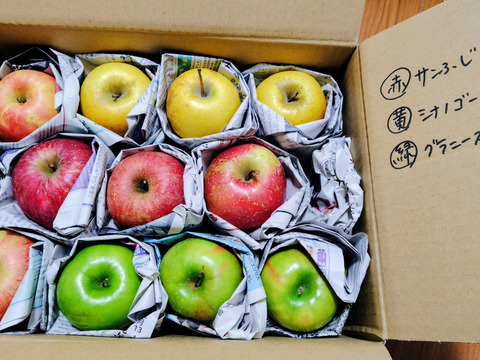 季節のリンゴ食べ比べ　訳あり家庭用（約2.5㎏）6～12玉
サンふじ、シナノゴールドなど季節のりんごを2種類からお届け　
大きさ、形やキズなどで贈答用になれなかったりんごたちをバラ詰めで　信州長野県産