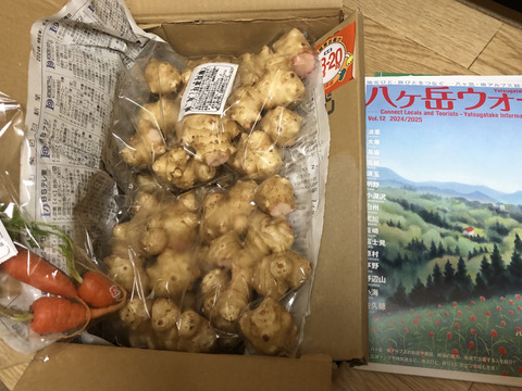 ＜自然栽培の菊芋　２ｋｇ＞肥料不使用、農薬も不使用、自家採種でやさしい甘さ　アクが少なく！生食も美味の≪菊芋≫を八ヶ岳南麓よりお届けします