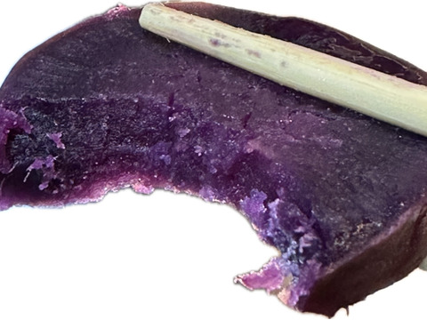 インスタ映え【ご家庭用】千葉県産さつまいも3㎏　パープルスイートロード　美しい紫色でインスタ映え！熟成させると甘みが増します！蒸し芋・温野菜にもおすすめ