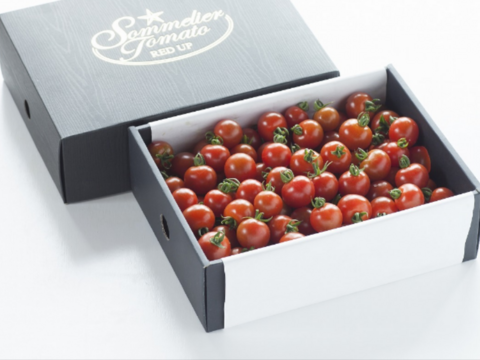 【極み】希少な高濃度フルーツトマト　ソムリエミニトマト　プラチナ１.5kg（９０玉～１５０玉）