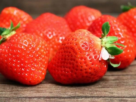 贈答用岡山県産さちのか(大粒9粒入りパック×2)