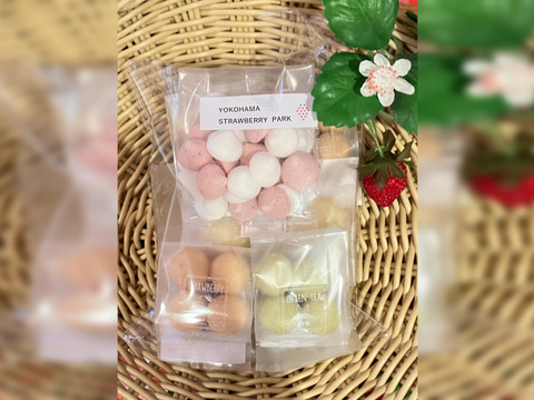 横浜ストロベリーパーク発！自家製いちごのおやつ便B（お菓子セット）