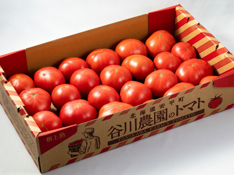 【北海道産】🍅樹上熟3段採り🍅桃太郎トマト 〈訳あり〉4kg箱