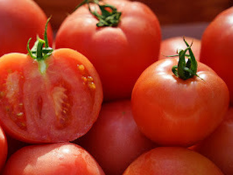 『陽の香り』４キロ箱満杯詰め　長野の自然が育てた恵　桃太郎トマト