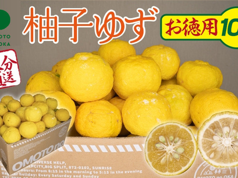 【期間限定】これからの季節の風味には柚子（ユズ・ゆず）10Kg お徳用