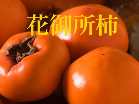 日本一甘い柿『花御所柿』3kg