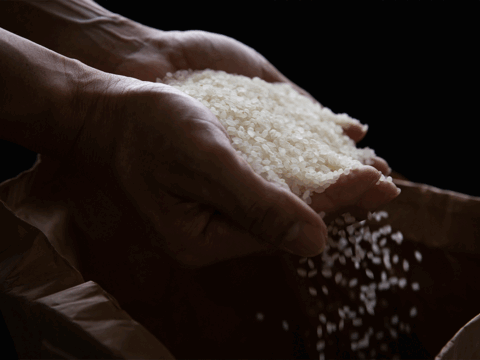 特別優秀賞受賞 雪室貯蔵「こまがた家のお米」おにぎりパックギフトセット　1合× 6個　農薬・化学肥料不使用栽培米（精米）