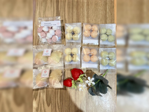 横浜ストロベリーパーク発！自家製いちごのおやつ便B（お菓子セット）