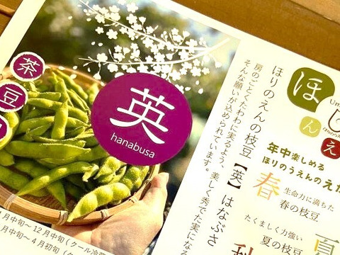 冷凍便！生のまま冷凍しました！茶豆風味の枝豆【英】4袋入り