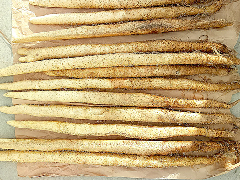 【お試しセット】箸で持てるほどの粘り！！自然薯　真空パック 200g相当×3本入