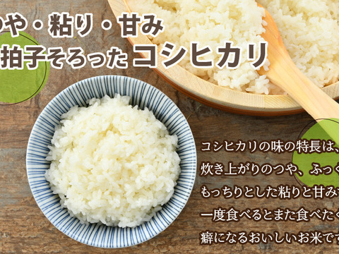 【令和４年産】毎日美味しく！！特別栽培コシヒカリ無洗米(５㎏)