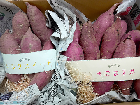 【ねっとり濃厚な甘さ＆なめらかで上品な甘さ】さつまいも詰め合わせセット3㎏