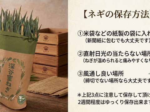 深谷蜜ねぎ（2.5kg）｜農家直送・新戒産深谷ねぎの甘みたっぷり：埼玉