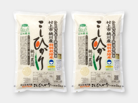 新米予約 令和8年産】コシヒカリ特別栽培米4kg（2kg×2）：新潟県産の