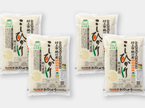 新米予約 令和8年産】コシヒカリ特別栽培米8kg（2kg×4）：新潟県産の