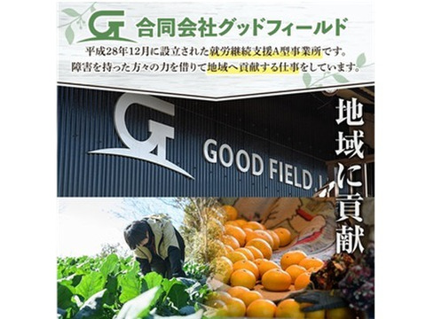 冷凍オクラ　鹿児島県産　計1.0kg(250g×4袋)