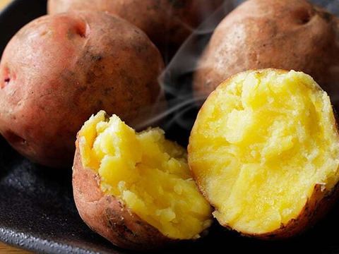 中身が黄色く滑らかな甘めのじゃがいも・ジャガキッズ（合計5キロ）