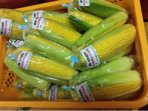 農薬化学肥料不使用※ゴールドラッシュ2Kg