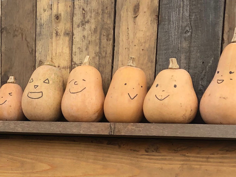 訳あり＊ねっとりとコクのある＊バターナッツかぼちゃ＊3kg