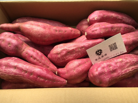 ほくほく食感と上品な甘さ！なると金時(訳あり)5kg