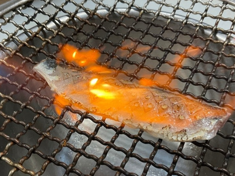 【イワシ大漁祭り】マイワシ/中羽サイズ80g前後/5kg【脂あり】【2/17水揚げ/発送】