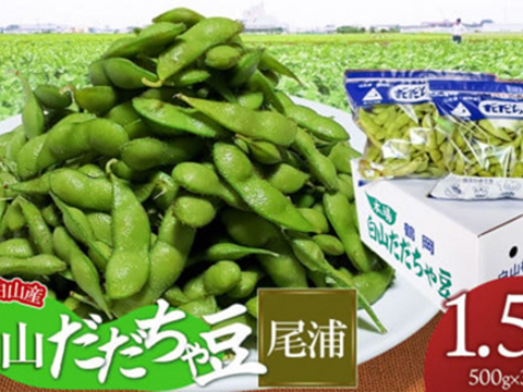 令和８年９月上旬発送❗本場白山産　だだちゃ豆(尾浦)1.5㎏