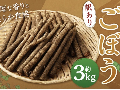 香り高い鹿児島県産新ごぼう３キロ【訳ありごぼう】