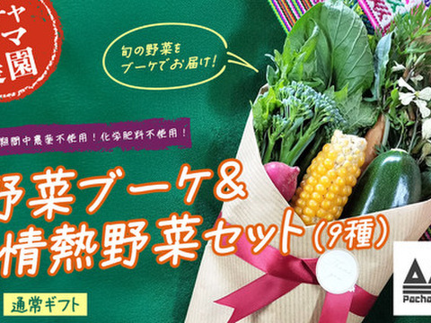 ベジブーケで感謝を伝えよう☆野菜の花束と情熱野菜セット9品目【通常ギフト】パチャママ農園　メッセージつき