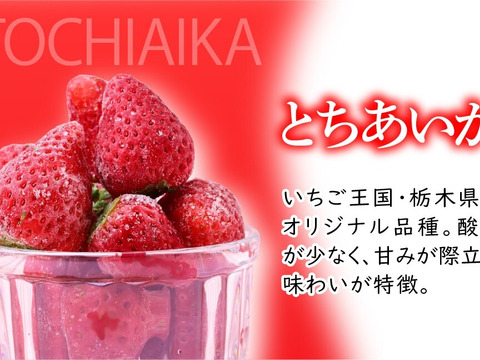 完熟冷凍いちご「とちあいか」500g×2袋＼鮮度そのまま・ヘタ付き／（ご