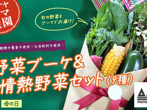 ベジブーケでお母さんに感謝を伝えよう☆野菜の花束と情熱野菜セット9品目【母の日ギフト】パチャママ農園　メッセージつき