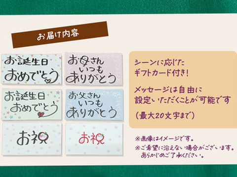 ベジブーケで感謝を伝えよう☆野菜の花束と情熱野菜セット9品目【通常ギフト】パチャママ農園　メッセージつき